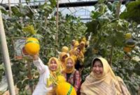 Foto: pengunjung saat saat berada di nurani farm