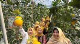 Foto: pengunjung saat saat berada di nurani farm