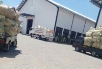 Foto: truck KDMP kedapatan antre di gudang tembakau yang berlokasi di Desa Daramista