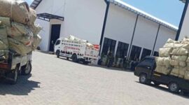 Foto: truck KDMP kedapatan antre di gudang tembakau yang berlokasi di Desa Daramista