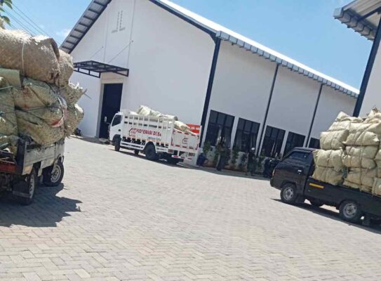 Foto: truck KDMP kedapatan antre di gudang tembakau yang berlokasi di Desa Daramista