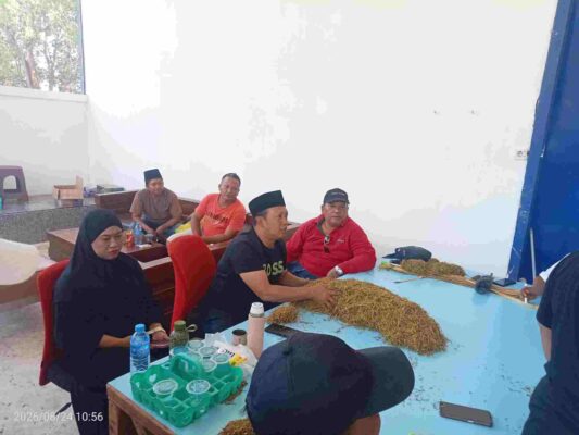 Foto: CEO Haswal Group didampingi istrinya turun langsung membeli tembakau milik petani