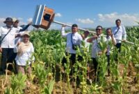 Foto: Kordinator Penyuluh Kecamatan Lenteng pimpin pemasangan RUBUHA di desa Poreh