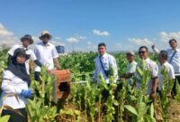 Foto: BPP Kecamatan Lenteng pasang RUBUHA di Desa Poreh