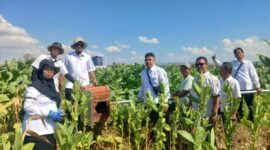 Foto: BPP Kecamatan Lenteng pasang RUBUHA di Desa Poreh