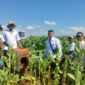 Foto: BPP Kecamatan Lenteng pasang RUBUHA di Desa Poreh