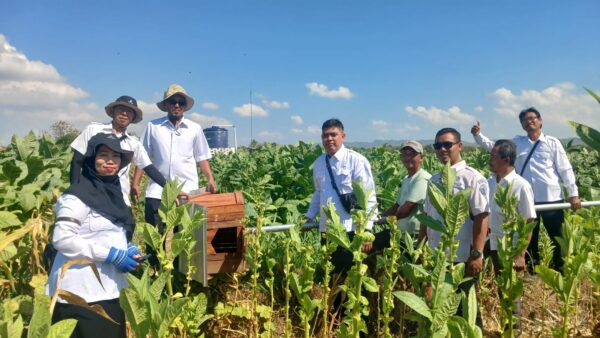 Foto: BPP Kecamatan Lenteng pasang RUBUHA di Desa Poreh