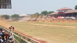 Foto: salah satu pasang sapi yang berlaga di seleksi tingkat kabupaten sumenep
