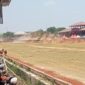 Foto: salah satu pasang sapi yang berlaga di seleksi tingkat kabupaten sumenep