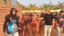 Foto: tim DRT EXCLUSIVE